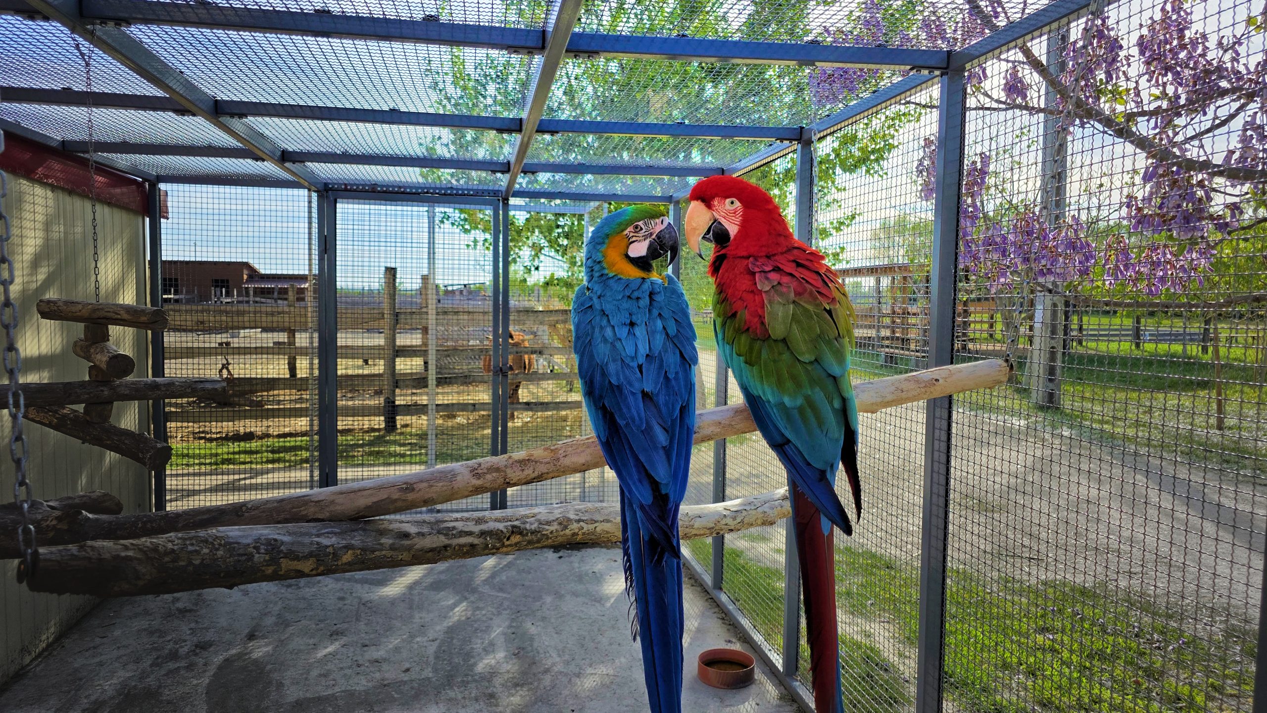 Gyerekek az állatsimogatóban a ZOO Szigetbecsében